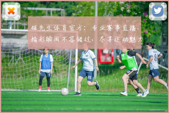 猫先生体育官方：专业赛事直播，精彩瞬间不容错过，尽享运动魅力，激情互动体验
