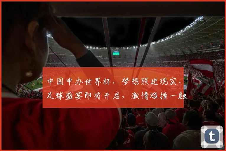 中国申办世界杯，梦想照进现实，足球盛宴即将开启，激情碰撞一触即发，共赴狂欢之旅