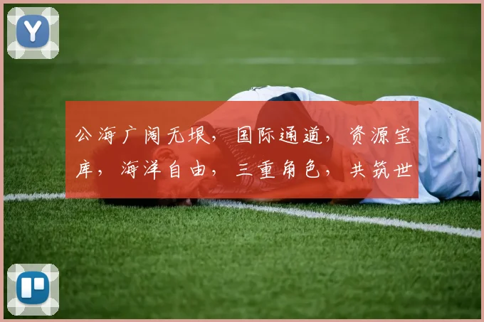 公海广阔无垠，国际通道，资源宝库，海洋自由，三重角色，共筑世界和平与发展。