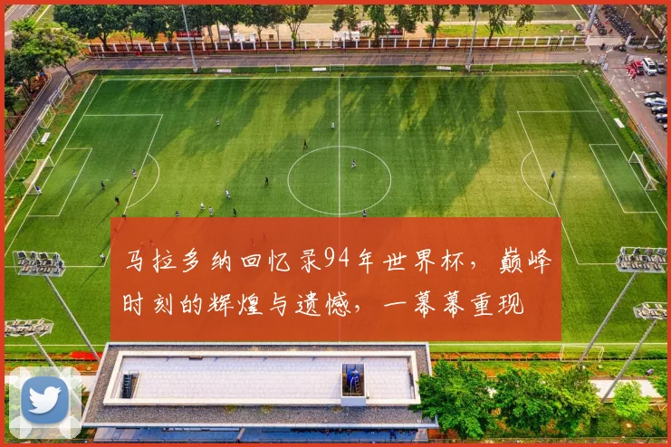 马拉多纳回忆录94年世界杯，巅峰时刻的辉煌与遗憾，一幕幕重现