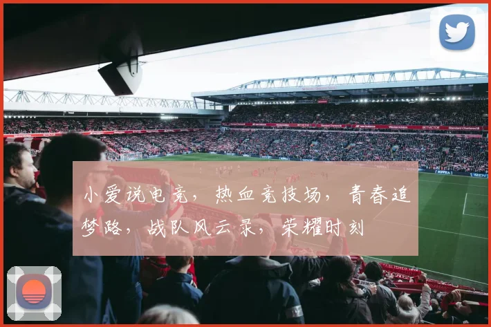 小爱说电竞，热血竞技场，青春追梦路，战队风云录，荣耀时刻