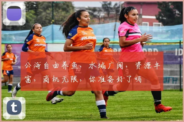 公海自由养鱼，水域广阔，资源丰富，商机无限，你准备好了吗